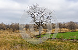 Autumnal landscape in rural Ukrainian area