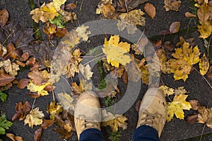 autumnal leaves fallen on the road with feeet of man wearing winter boots in the street