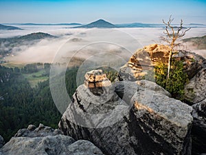 Autumnal misty foggy morning in valley of Bohemian Switzerland park