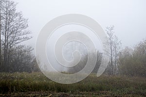 Autumnal morning in Kampinos National Park