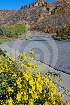 Autumnal mountain trafficway