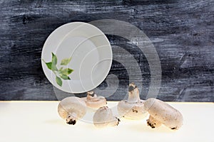 Autumnal Mushrooms with white background and gray wooden table and empty dish