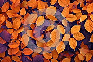 Autumnal Orange Leaves Rustling Against A Vibrant Violet Backdrop Create A Captivating Pattern