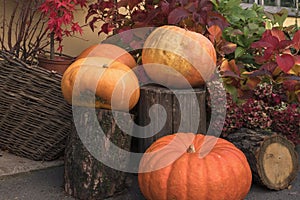 Autumnal outdoor decor with pumpkins and flowers