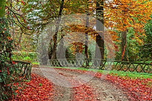 Autumnal park in Italy.