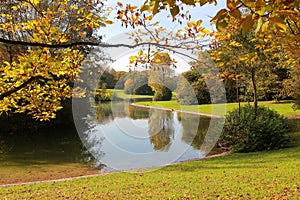 Autumnal park scenery with golden leaves and little pond