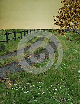 Autumnal pathway