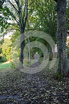 An Autumnal Pathway in Backhouse Park, Sunderland