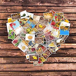 Autumnal photos heart collage, wooden planks