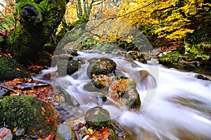 Autumnal riverscape photo