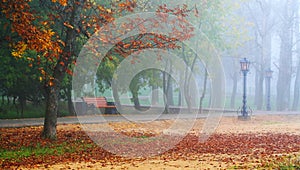 Autumnal romantic photo