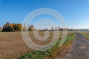 Autumnal rural countryside with fall foliage ,trees, fields, grass and a path