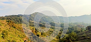 Autumnal rural landscape at dusk. beautiful countryside in mountains. trees in fall foliage on green rolling hills. dramatic