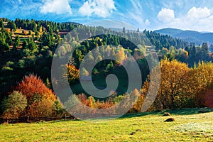 Autumnal rural landscape in mountains. grass on the hill, trees in colorful foliage. beautiful nature scenery