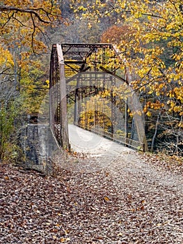 Autumnal scene featuring Jenkinsburg Bridge surrounded by golden foliage. West Virginia