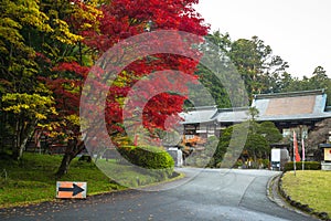 Autumnal scenery of Nikko national park