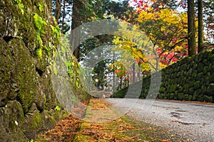 Autumnal scenery of Nikko national park