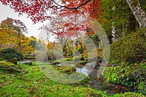 Autumnal scenery of Nikko national park