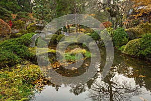 Autumnal scenery of Nikko national park