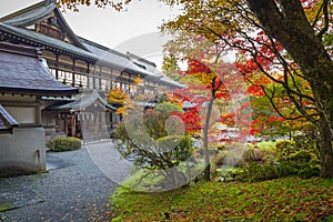 Autumnal scenery of Nikko national park