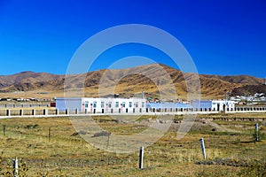 The Autumnal Scenery of Qinghai - Tibet Plateau