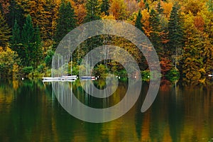 Autumnal scenic view of boats on the Bohinj lake surrounded by colorful forest. Slovenia, Europe