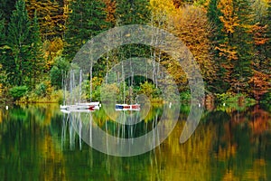 Autumnal scenic view of boats on the Bohinj lake surrounded by colorful forest. Slovenia, Europe, Triglav National Park