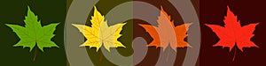 Autumnal season trendy color palette. Yellow, orange, red, brown and green maple leaves background. Autumn leaf color. Fall.