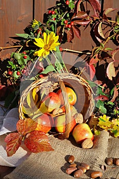 Autumnal still life