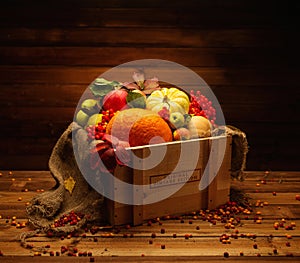 Autumnal still life