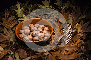 Autumnal still life composition: clay pot and walnuts