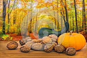 Autumnal still life with pumkin and wallnuts on wood background