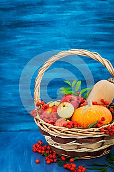 Autumnal still life with pumpkins, apples and rowanberry