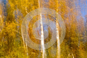 Autumnal textural scenic background with motion blur