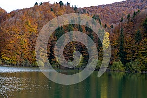 autumnal trees changing season with orange reddish green colors reflected in a mountain lake in northern spain