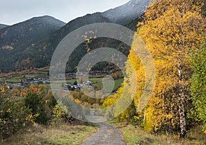 Autumnal trees and mountains in Andorra