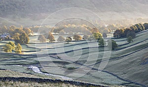 Autumnal Trees in the Valley