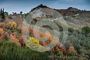 Autumnal trekking in the province of Siena, from Buonconvento to Monte Oliveto Maggiore Abbey