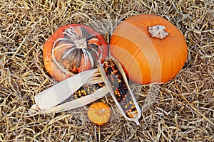 Autumnal Turks turban gourd and pumpkin with ornamental corn cobs