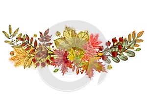 Autumnal Twigs and Leaves Curved Vignette Isolated on White Background.