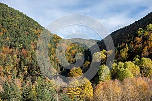 An autumnal valley with orange, yellow and green trees