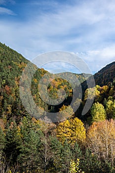 An autumnal valley with orange, yellow and green trees