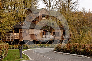 Autumnal View of Alnwick Garden treehouse