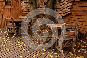 Autumnal View of Alnwick Garden treehouse