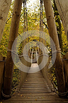 Autumnal View of Alnwick Garden treehouse