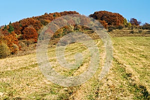 Autumnal view of strazov mount in strazovske vrchy