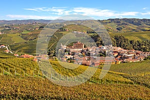 Autumnal view of vineyards and Barolo in Piedmont, Italy. photo