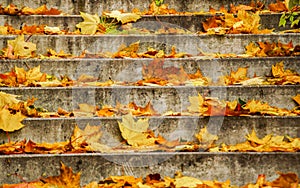 Stairs and leaves