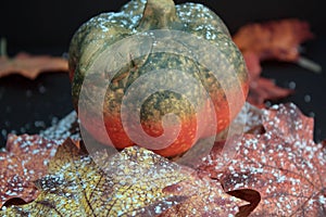 Autumnally decorated pumpkin with autumn foliage and snow