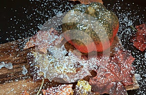 Autumnally decorated pumpkin with autumn foliage,snow and ice crystals